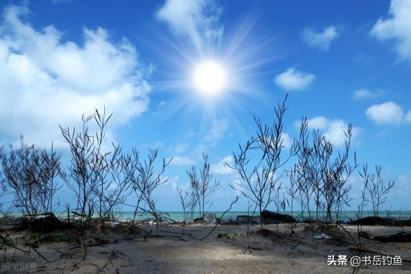 警惕倒春寒！合適的垂釣策略才能玩轉春季魚情！釣友：深有同感