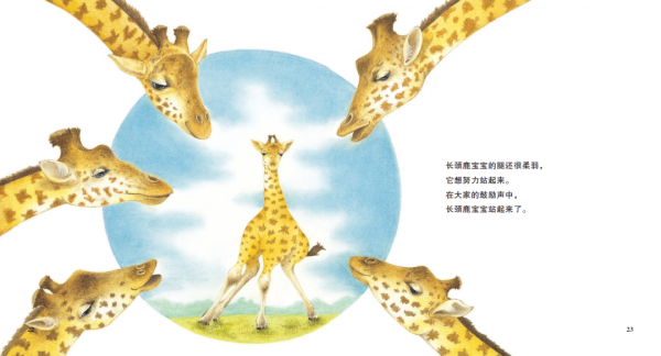 讓孩子一秒踏進自然科學世界的科普繪本《賓果兒童自然科學》