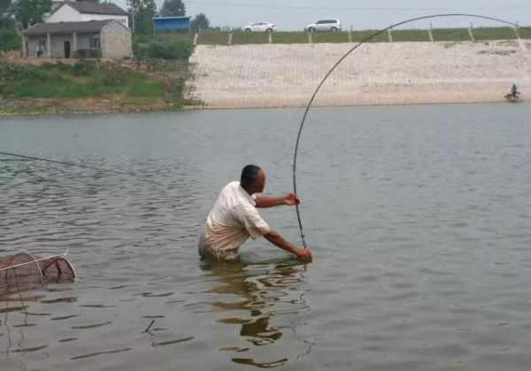 四川男子釣魚誤觸高壓電,意外身亡!為什麼總有人在高壓電下釣魚 四川男子釣魚誤觸高壓電,意外身亡!為什麼總有人在高壓電下釣魚