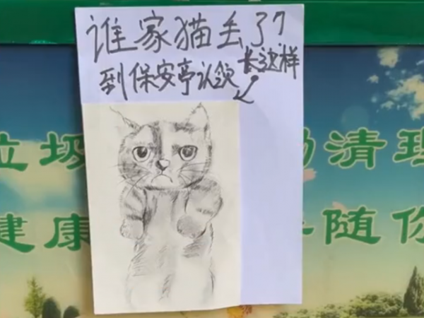 河北一小貓走失被保安逮到,還畫了張小貓像招領,網友:一模一樣 河北一小貓走失被保安逮到,還畫了張小貓像招領,網友:一模一樣
