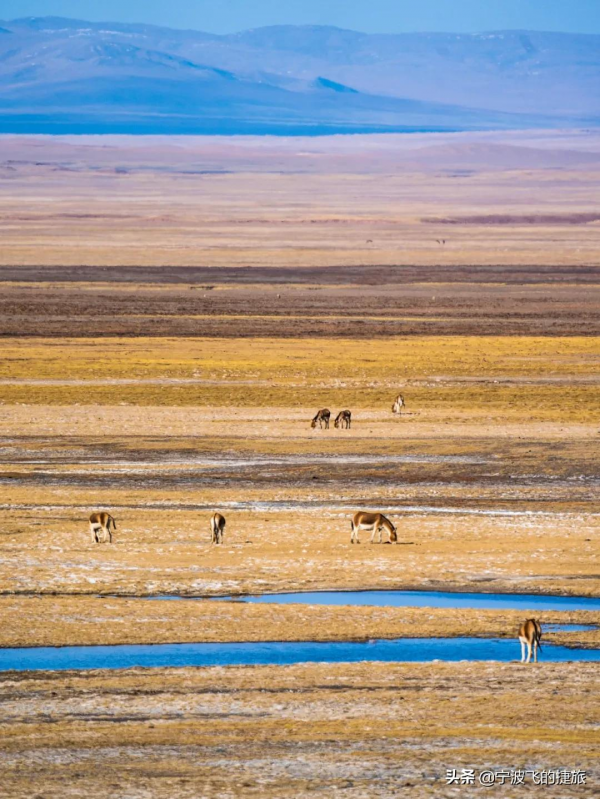 美國黃石的13倍！我國首批國家公園正式官宣，驚豔世界的風景來了