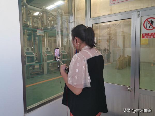 “金秋消費季•甘肅供銷在行動”——金花寨小米銷售專場