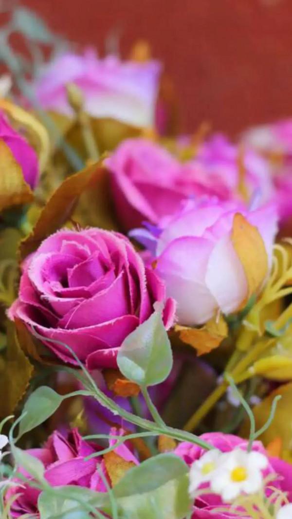 你的眼睛是一首美麗的詩