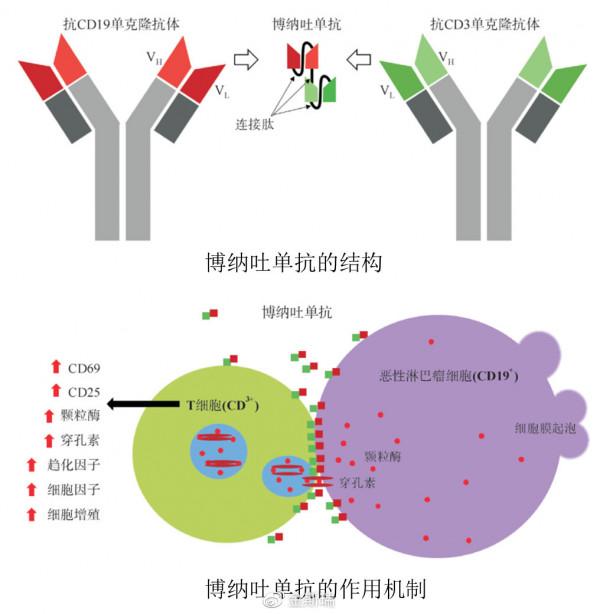 新一代生物藥創新浪潮—雙特異性抗體(上篇) 新一代生物藥創新浪潮—雙特異性抗體(上篇)