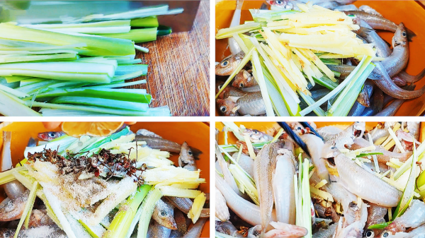 快過年了，內行人都買這10種深海魚，人工難養殖，簡單易做又美味