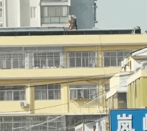 11月,七名戰友犧牲 11月,七名戰友犧牲