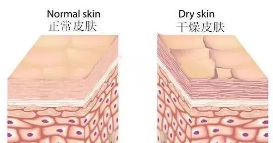 精華水的正確用法，你學到了嗎？