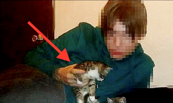 一段虐貓影片牽扯出一件謀殺案,2012年中國留學生加拿大被害始末 一段虐貓影片牽扯出一件謀殺案,2012年中國留學生加拿大被害始末