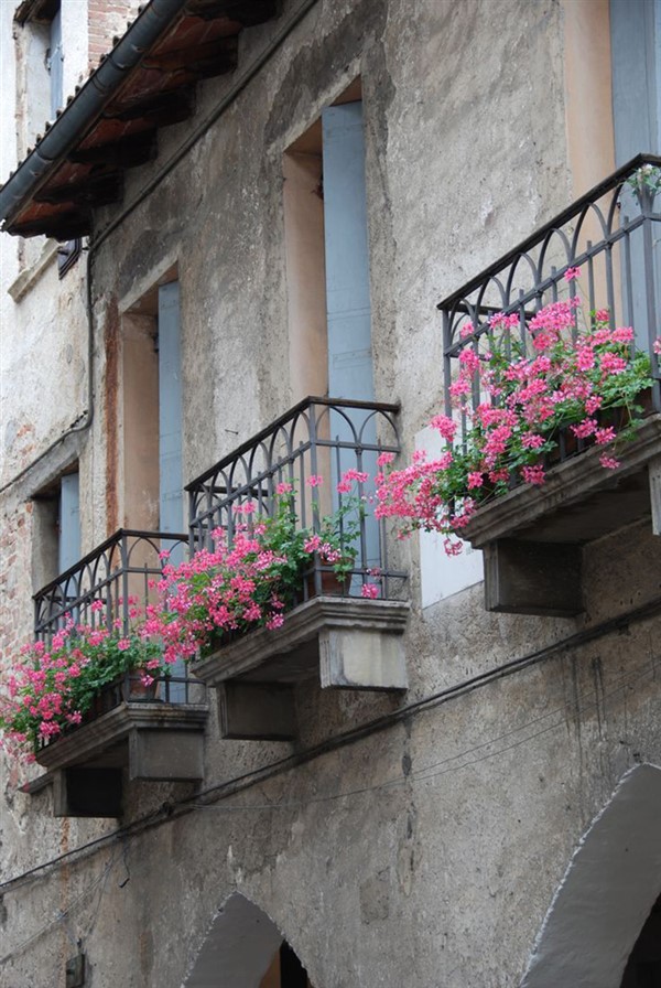 花園式窗臺，美得不像話，趕緊收藏起來
