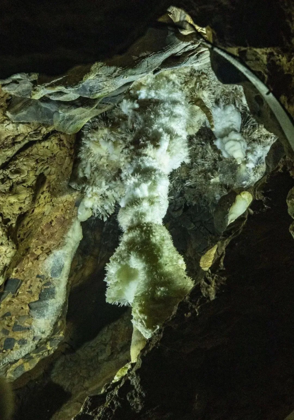 探尋“冬暖夏涼”的奧秘!北京房山銀狐洞冬日遊玩指南! 探尋“冬暖夏涼”的奧秘!北京房山銀狐洞冬日遊玩指南!