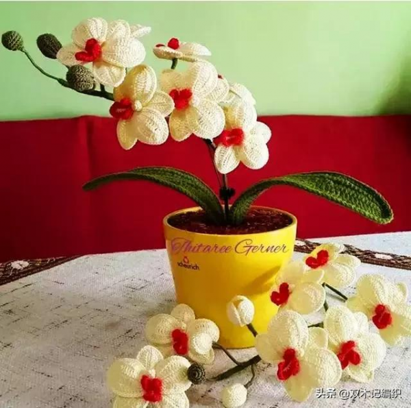 蝴蝶蘭鉤編，美豔動人，居家擺設就選它