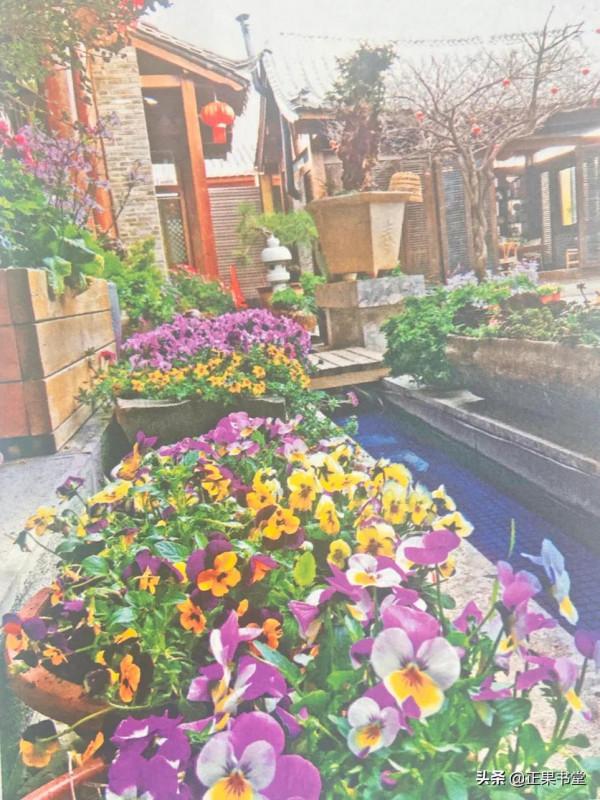 你嚮往的民宿美景來了 你嚮往的民宿美景來了