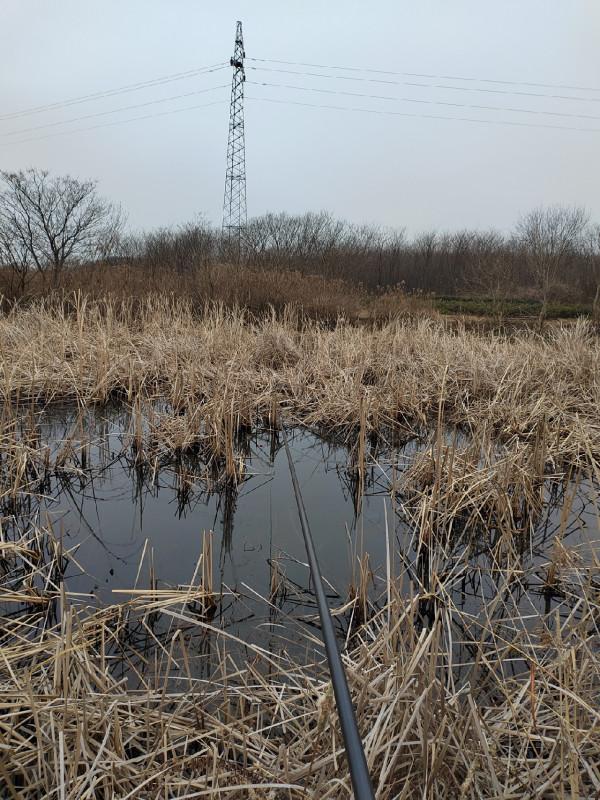 這就是菜地的魅力，夠野、夠暴力
