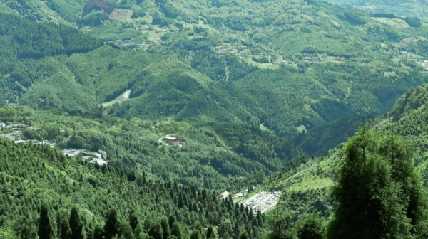 賞秋來這裡！什邡神瀑溝紅楓林金秋醉美風景上線~