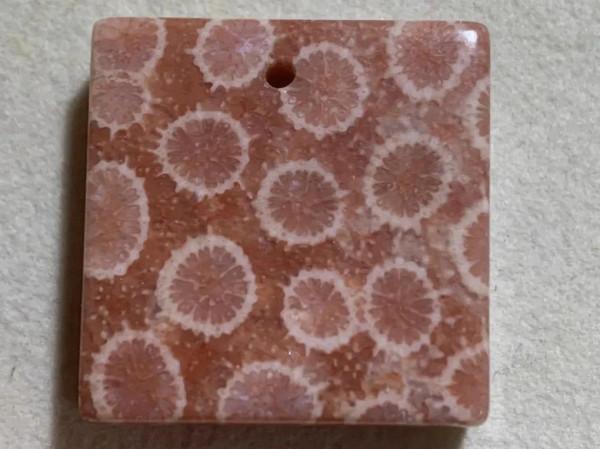 帶你認識珊瑚玉的十種花型‖密恐慎入 帶你認識珊瑚玉的十種花型‖密恐慎入