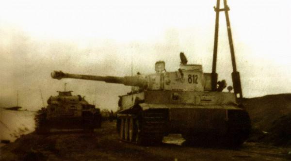 二戰德國黨衛軍是什麼?為何國防軍都恥與為伍,他們的區別是什麼 二戰德國黨衛軍是什麼?為何國防軍都恥與為伍,他們的區別是什麼