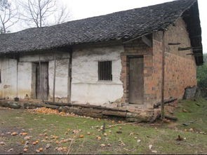 2022年“棚改”變“舊改”？這3類房子或將被拆除，村民注意了