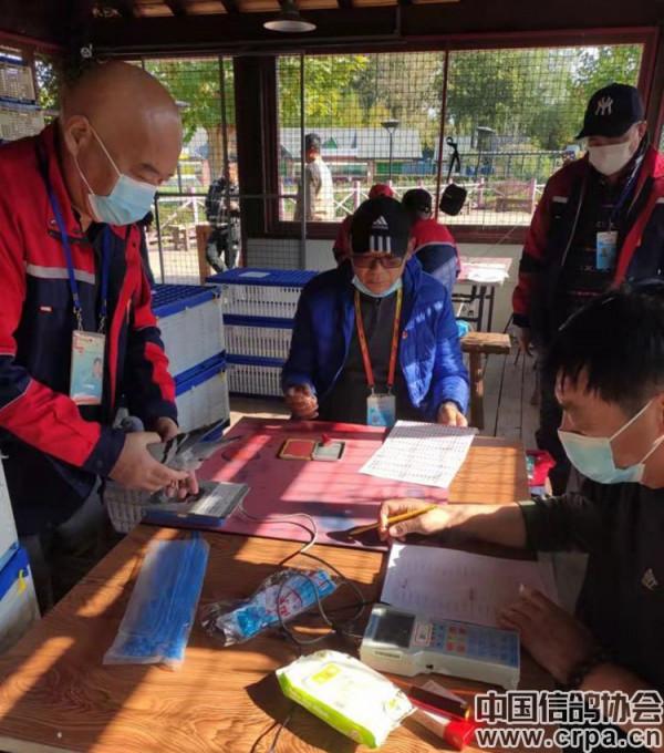 2021年“中國杯”信鴿職業聯賽(北京百鴿園站)第三關再下一城 2021年“中國杯”信鴿職業聯賽(北京百鴿園站)第三關再下一城