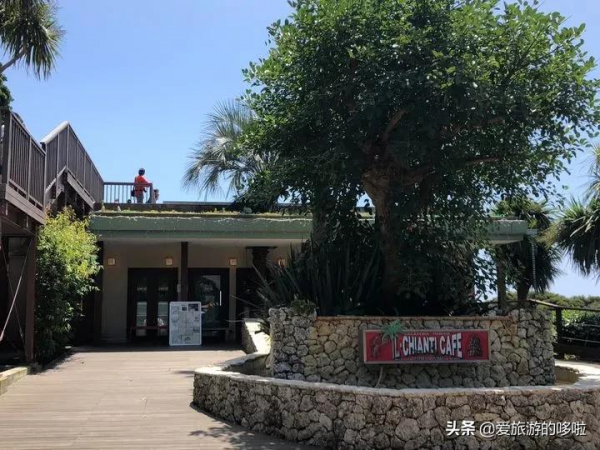 日本7處海景咖啡廳，捧著咖啡吹著海風，等你來哦