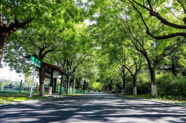 夏日度假好去處，古九州之一青州遊玩攻略