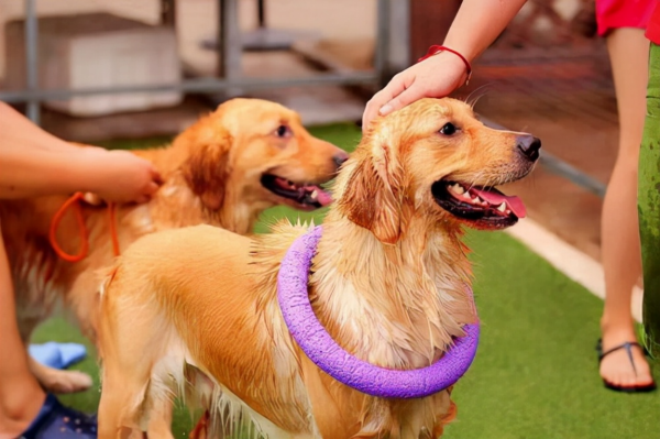 60張圖片,帶你走進所謂的“天堂美國” 60張圖片,帶你走進所謂的“天堂美國”