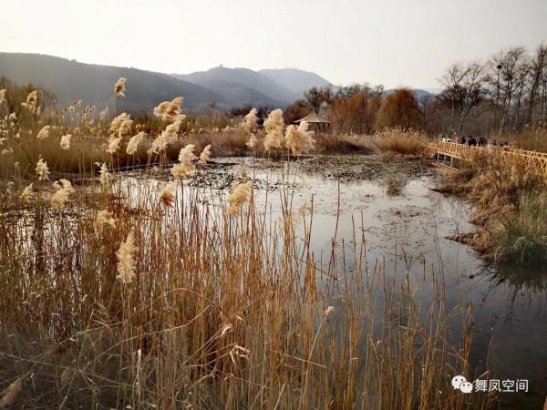 房山牛口峪溼地公園,沒想到風景如此優美 房山牛口峪溼地公園,沒想到風景如此優美
