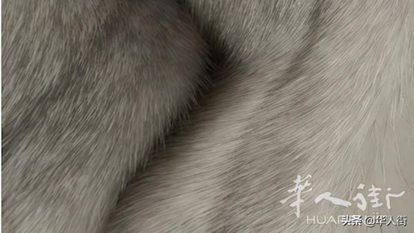 義大利禁止皮毛動物養殖與交易，所有農場從1月1日起關閉