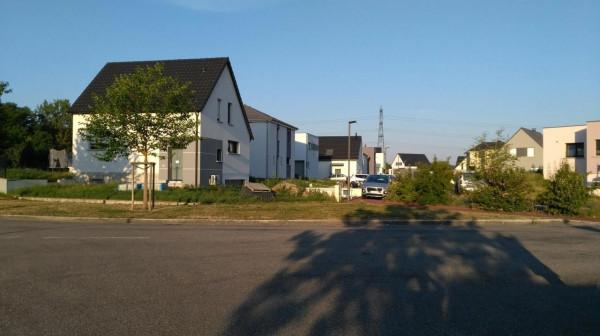 阿蓮聊天68(2021年11月2日) 阿蓮聊天68(2021年11月2日)