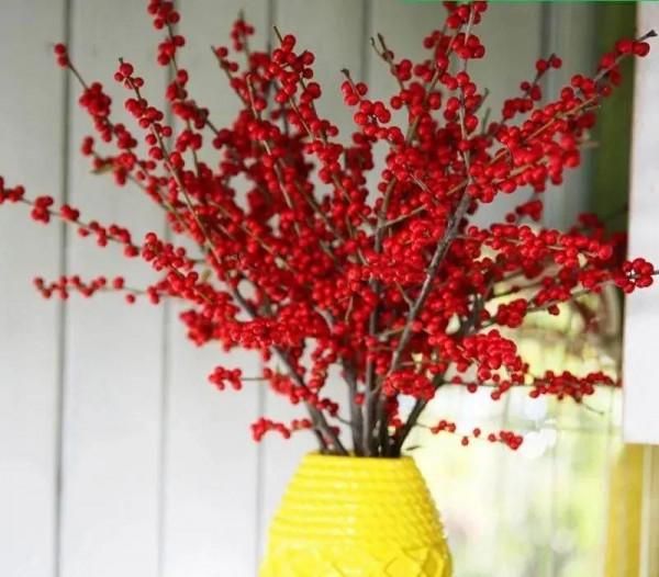 年宵花中的&OpenCurlyDoubleQuote;愛馬仕&rdquo;，紅果子掛滿枝，紅紅火火大吉大利