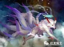 親歷“殺豬盤”18天