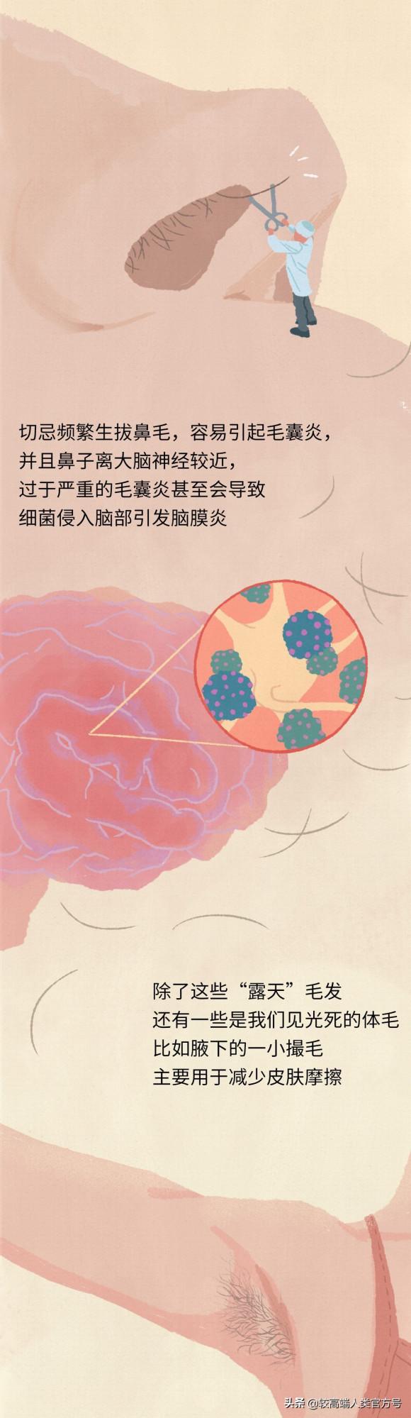 為什麼人類身上的毛，總是長在奇怪的地方？