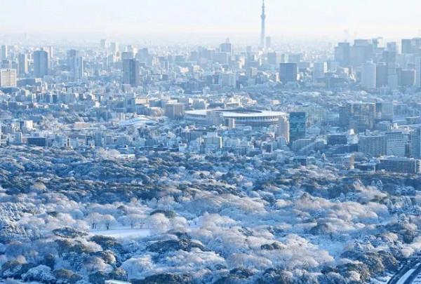 2022東京初雪,這個近45年來最冷的冬天,美翻了 2022東京初雪,這個近45年來最冷的冬天,美翻了