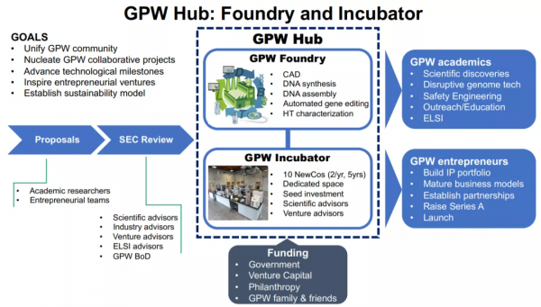 CAD基因編輯平臺出爐，「一站式基因編輯商店」能掀起技術浪潮？