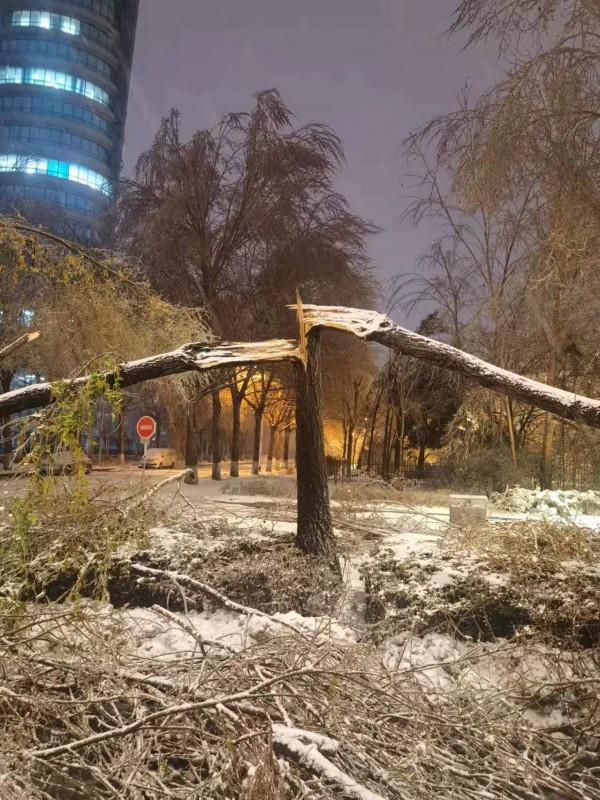 北方多地暴雪之後：蔬菜大棚被壓塌20多戶絕收，部分地區蔬菜價格上漲近一倍