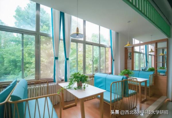 央視“點名”關注!陝西這所高校的全魚宴、巧克力饅頭饞哭網友 央視“點名”關注!陝西這所高校的全魚宴、巧克力饅頭饞哭網友