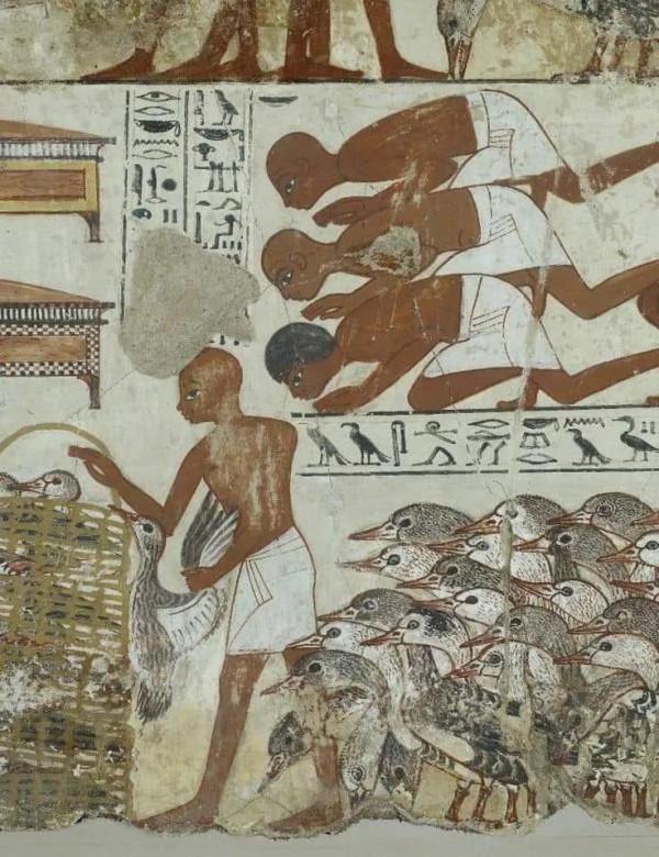 鴨子，身披落霞飛到尋常百姓家