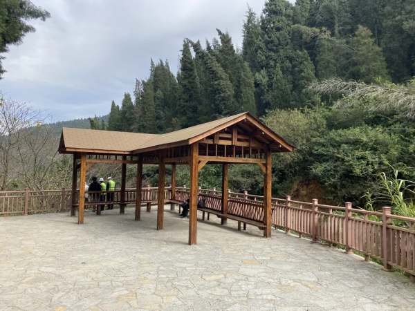 箇舊寶藏景緻上新！一水百花一步道，新年迎春正當時！