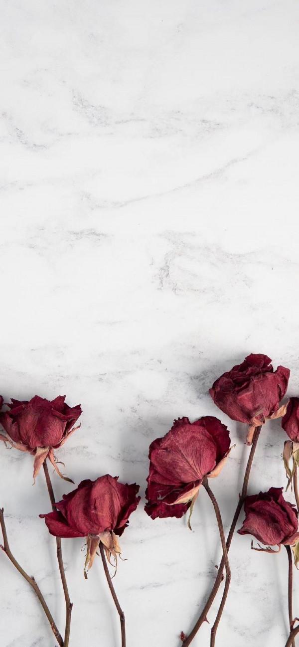 能力比較強，眼光也比較高的星座女