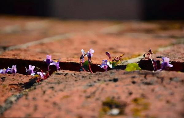 父母給孩子最好的教育,從灌輸正確的三觀開始 父母給孩子最好的教育,從灌輸正確的三觀開始