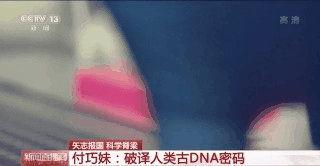 付巧妹:破譯人類古DNA密碼 人類演化本身就是終極命題 付巧妹:破譯人類古DNA密碼 人類演化本身就是終極命題