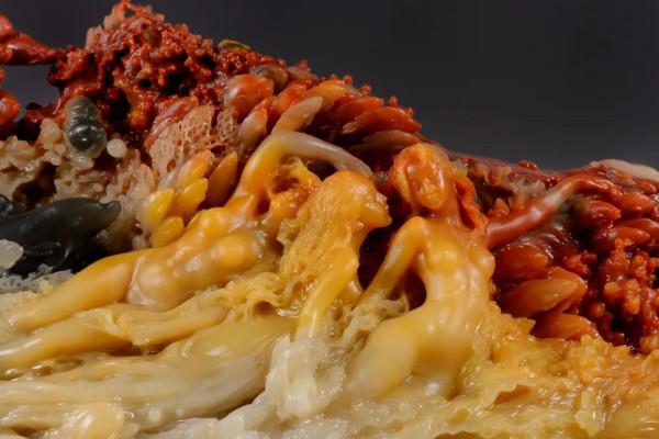 拾象 | 餘說：半個世紀的行吟詩人