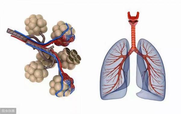 慢阻肺&OpenCurlyDoubleQuote;一動就喘&rdquo;為什麼？怎麼辦？您需要規範治療了