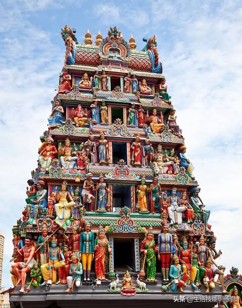 你見過躲雨的火烈鳥嗎？30張趣圖讓你大開眼界