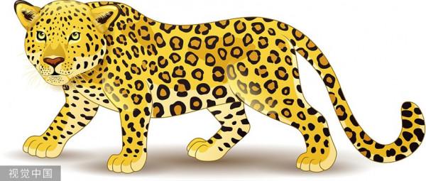 誰的頭像還不是金錢豹？