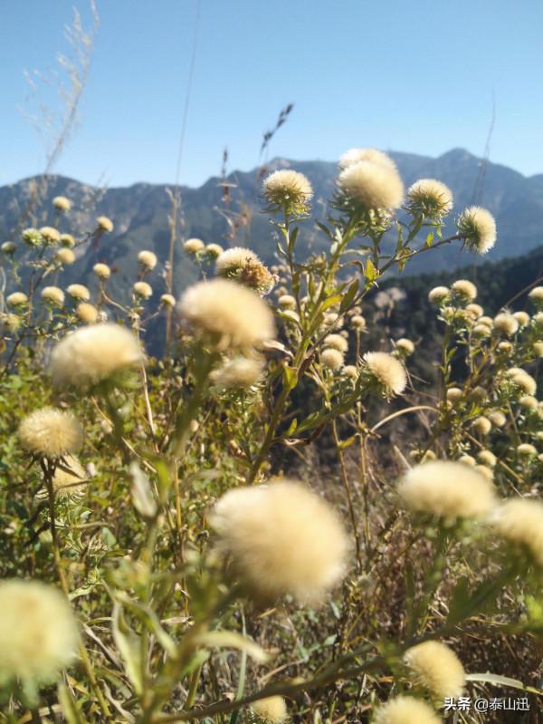 獨行泰山之走三梁