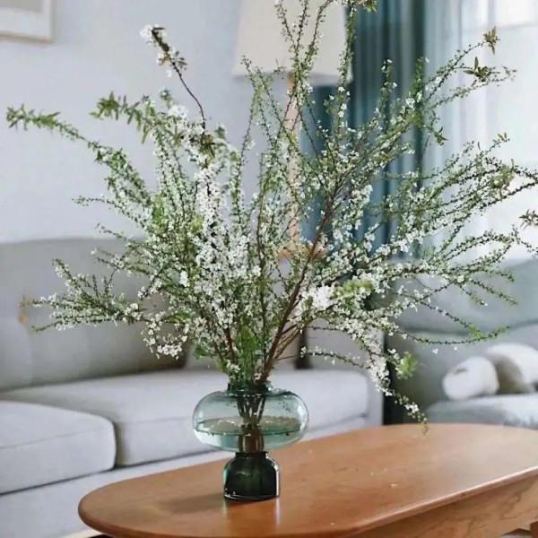 實用分享丨30款年宵花鑑賞，觀花的、賞果的都有…你最喜歡哪個？