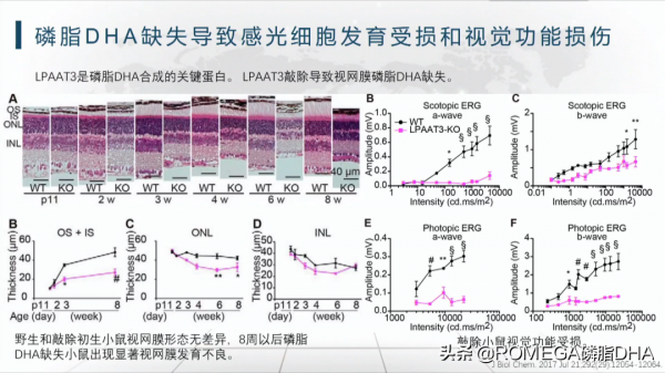 ROMEGA衛星會亮相2021粵港澳大灣區眼健康創新發展首屆高峰論壇