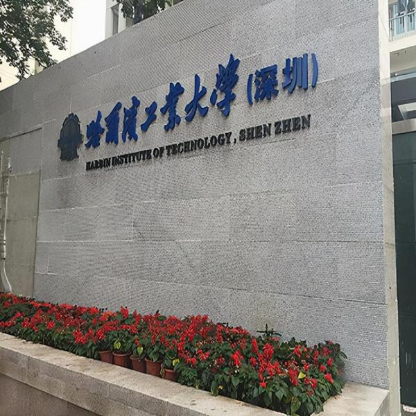 東北、西北985大學將何去何從？逃跑主義還是持久戰？