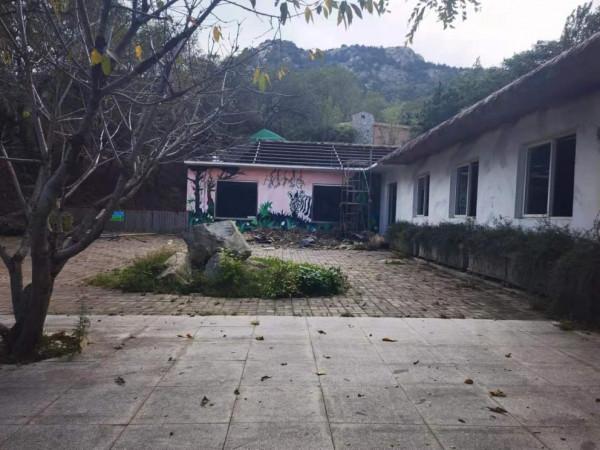 青島森林野生動物世界：園區不太野 管理倒挺野