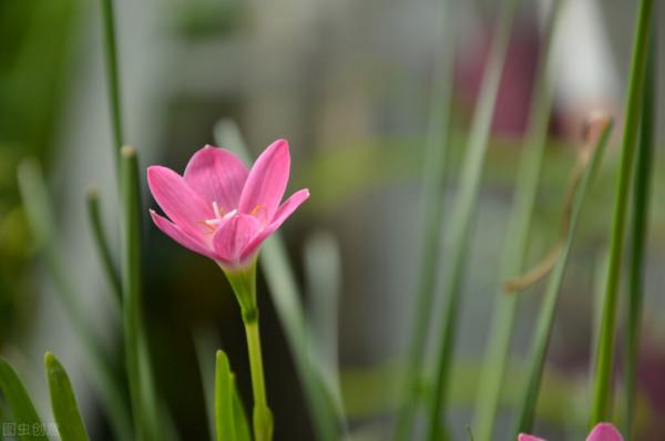 2022年1月運勢：天蠍座、摩羯座、射手座